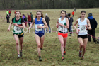 Senior women, 2018 Northern Cross Country Champs., Harewood House, Leeds. Photo: David T. Hewitson/Sports for All Pics